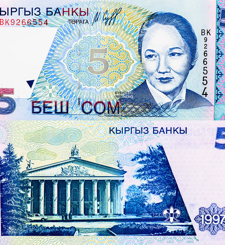 profesiones más comunes en monedas y billetes del mundo, Billete de Kirguistan